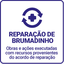 Brumadinho2